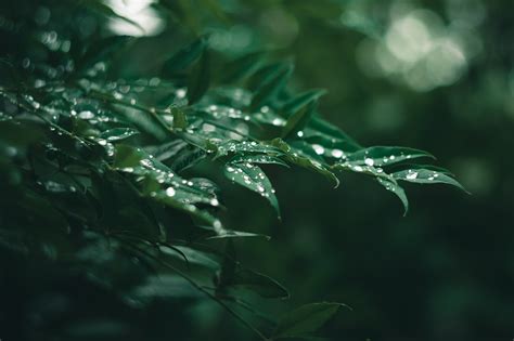 雨天圖片|超过 400 张关于“下雨天”和“雨”的免费图片